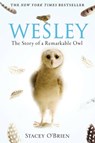 Wesley - Stacey O'Brien - 9781849012621