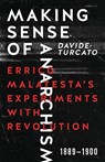 Making Sense Of Anarchism - Davide Turcato - 9781849352314
