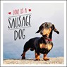 Love is a Sausage Dog - Charlie Ellis - 9781849539876