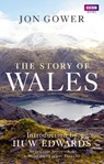 The Story of Wales - Jon Gower - 9781849903738