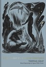 Elegy Written in a Country Churchyard (Collector's Edition) - Thomas Gray - 9781851245772