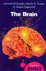 The Brain - Ammar al-Chalabi ; Martin Turner ; R. Shane Delamont - 9781851685943