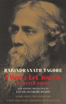 I Won't Let You Go - Rabindranath Tagore - 9781852248987