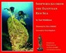 Shipwrecks from the Egyptian Red Sea - Ned Middleton - 9781853981531