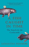 A Fish Caught in Time - Samantha Weinberg - 9781857029079