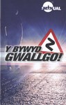 Y Bywyd Gwallgo! - Carl beech - 9781859949306