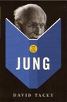 How To Read Jung - David Tacey - 9781862077263