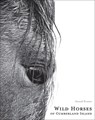 Wild Horses of Cumberland Island - Anouk Masson Krantz - 9781864708851