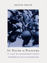 In Youth Is Pleasure - Denton Welch - 9781878972132