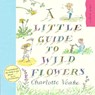 A Little Guide To Wild Flowers - Charlotte Voake - 9781903919118