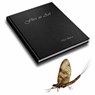 Flies as Art - Paul Whillock - 9781904784142