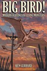 Big Bird! - Ken Gerhard - 9781905723089