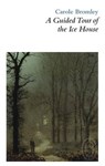 A Guided Tour of the Ice House - Carole Bromley - 9781906613310