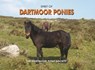 Spirit of Dartmoor Ponies - Dartmoor Pony Society - 9781906887230