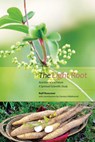 The Light Root - Ralf Roessner ; Clemens Hildebrandt - 9781906999636