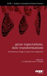 Great Expectations, Slow Transformations - Manuela Moschella - 9781907301544