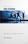 Delighting in the Trinity - Tim Chester - 9781907377334