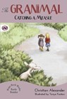 Catching a Measle - Christian Alexander - 9781907432613