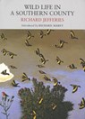 Wild Life in a Southern County - Richard Jefferies - 9781908213006