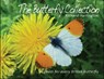 The Butterfly Collection - Richard Harrington - 9781908241566