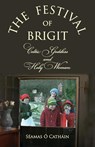 THE FESTIVAL OF BRIGIT - Seamas OCathain - 9781908420329