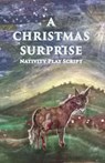 A Christmas Surprise - Jennifer Carter - 9781908567215