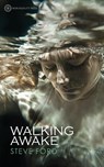 Walking Awake - Steve Ford - 9781908664440