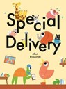 Special Delivery - Elliot Kruszynski - 9781908714794