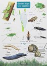 Garden Bugs and Beasties - Rebecca Farley-Brown - 9781908819154