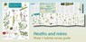 Plant identification for Phase 1 habitat survey: heaths and meres - Hilary Wallace ; Mark Duffell - 9781908819338