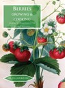 Berries - Jane McMorland-Hunter ; Sally Hughes - 9781909248458