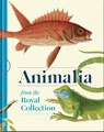 Animalia - Andrew Brown - 9781909741928