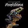 Draw Your Own Encyclopaedia Amphibians - Colin M Drysdale - 9781909832435