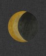 Frank Walter - Music of the Spheres - Barbara Paca ; Paget Henry ; Mary-Elisabeth Moore ; Kenneth M. Milton - 9781910221341
