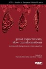 Great Expectations, Slow Transformations - Manuela Moschella ; Eleni Tsingou - 9781910259290