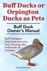 Buff Ducks or Buff Orpington Ducks as Pets. Buff Duck Owner's Manual. Buff Orpington Duck Pros and Cons, Care, Housing, Diet and Health All Included. - RUTHERSDALE,  Roland - 9781910410271
