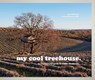 my cool treehouse - Jane Field-Lewis - 9781910496183