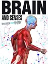 Brain and Senses - Jen Green - 9781910512050