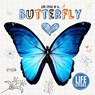 Butterfly - Grace Jones - 9781910512487