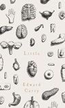 Little - Edward Carey - 9781910709566