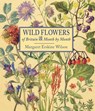 Wild Flowers of Britain -  - 9781910723319
