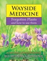 Wayside Medicine - Julie Bruton-Seal ; Matthew Seal - 9781910723357