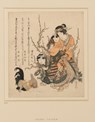 Plum Blossom and Green Willow - Clare Pollard ; Kiyoko Hanaoka - 9781910807262