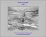 Still - Simon Armitage - 9781911253136