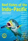 Reef Fishes of the Indo-Pacific (2nd edition) - Dr Matthias Bergbauer ; Manuela Kirschner - 9781912081349