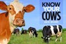 Know Your Cows - Jack Byard - 9781912158683