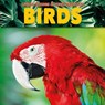 Birds - Grace Jones - 9781912171781