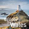 Wilder Wales (Compact Edition) - Julian Rollins - 9781912213665