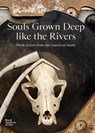 Souls Grown Deep like the Rivers - Maxwell L. Anderson ; Raina Lampkins-Fielder - 9781912520954