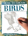 Birds - Mark Bergin - 9781912537792